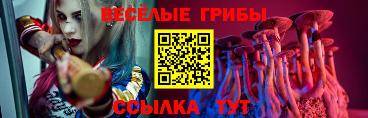 Бутурлиновка  наркота  Вход с VPN  Галлюциногенные грибы Magic Shrooms 